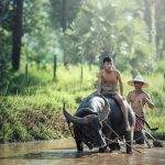 water-nature-forest-outdoor-wilderness-people-1025992-pxhere.com (2)